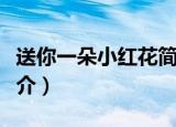 送你一朵小红花简介解说（送你一朵小红花简介）