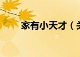 家有小天才（关于家有小天才介绍）