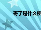 寄了是什么梗（寄了是什么意思）