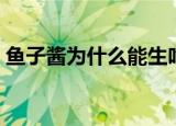 鱼子酱为什么能生吃（鱼子酱为什么这么贵）