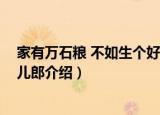 家有万石粮 不如生个好儿郎（关于家有万石粮 不如生个好儿郎介绍）