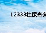 12333社保查询个人账户（123306）