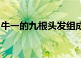 牛一的九根头发组成了一个正确的黄道十二宫