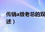 传销a级老总的双面人生（传销A级老总的自述）