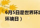 6月5日是世界环境日手抄报（6月5日是世界环境日）
