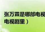 张万霖是哪部电视剧里的人物（张万霖是哪部电视剧里）