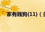 家有贱狗(11)（关于家有贱狗(11)介绍）