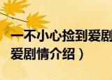 一不小心捡到爱剧情介绍详细（一不小心捡到爱剧情介绍）