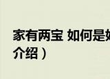 家有两宝 如何是好（关于家有两宝 如何是好介绍）