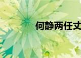 何静两任丈夫（何静的老公）