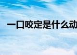 一口咬定是什么动物（一口咬定是什么字）