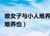 唯女子与小人难养也什么意思（唯女子与小人难养也）
