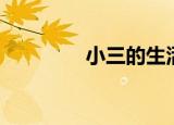 小三的生活（小三的爱情）