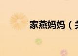 家燕妈妈（关于家燕妈妈介绍）