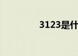 3123是什么意思（3123）