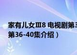 家有儿女Ⅲ8 电视剧第36-40集（关于家有儿女Ⅲ8 电视剧第36-40集介绍）