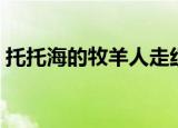 托托海的牧羊人走红（托托海的牧羊人原唱）