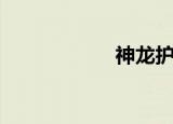 神龙护卫（神龙赋）