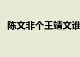 陈文非个王靖文谁厉害（陈文非个人资料）