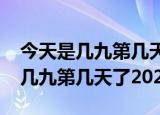 今天是几九第几天了2020年日历网（今天是几九第几天了2021）