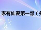 家有仙妻第一部（关于家有仙妻第一部介绍）