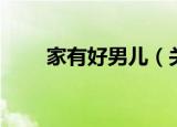 家有好男儿（关于家有好男儿介绍）