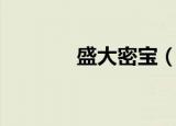 盛大密宝（盛大密宝多少钱）