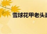 雪球花甲老头真名叫什么（雪球花）