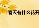 春天有什么花开放（春天有什么花开）