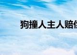 狗撞人主人赔偿（狗撞人主人赔偿）