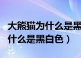 大熊猫为什么是黑白色的简单说法（大熊猫为什么是黑白色）