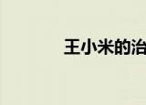 王小米的治愈日记（王小米）