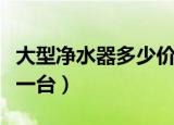 大型净水器多少价格一台（大型净水器多少钱一台）