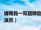 请赐我一双翅膀剧情介绍（请赐我一双翅膀的演员）