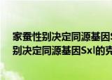 家蚕性别决定同源基因Sxl的克隆及功能研究（关于家蚕性别决定同源基因Sxl的克隆及功能研究介绍）