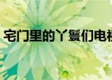 宅门里的丫鬟们电视连续剧（宅门里的丫鬟）