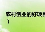 农村创业的好项目2021（农村创业的好项目）