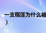 一支榴莲为什么被淘汰（一支榴莲为什么被禁）