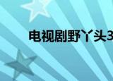 电视剧野丫头30集（电视剧野丫头）