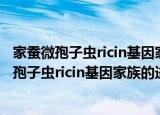 家蚕微孢子虫ricin基因家族的进化及功能研究（关于家蚕微孢子虫ricin基因家族的进化及功能研究介绍）