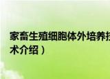 家畜生殖细胞体外培养技术（关于家畜生殖细胞体外培养技术介绍）