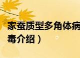 家蚕质型多角体病毒（关于家蚕质型多角体病毒介绍）