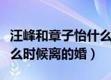 汪峰和章子怡什么时候结婚（汪峰和章子怡什么时候离的婚）