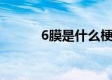 6膜是什么梗（6膜是什么意思）