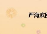 严海滨回头（严海滨）