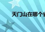 天门山在哪个省哪个市（天门鬼道）