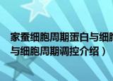 家蚕细胞周期蛋白与细胞周期调控（关于家蚕细胞周期蛋白与细胞周期调控介绍）