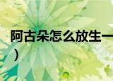 阿古朵怎么放生一大堆野怪（阿古朵怎么放生）