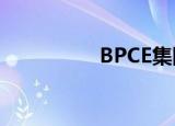  BPCE集团引入即时付款