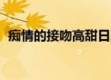 痴情的接吻高甜日剧（痴情的接吻 电视剧）